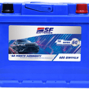 Figo Car Battery